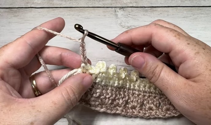 How to Crochet the Picot Waves Stitch Photo Tutorial