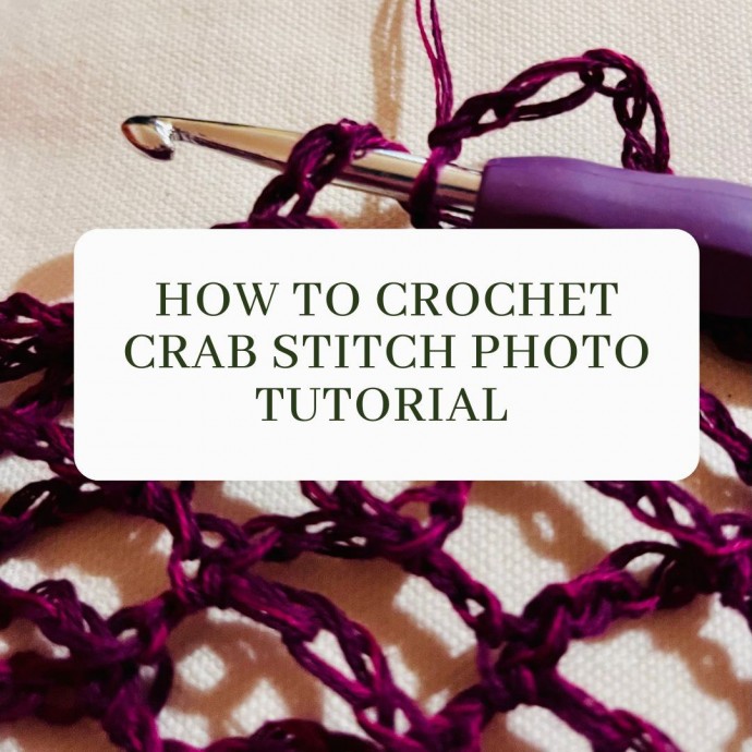 How To Crochet Crab Stitch Photo Tutorial