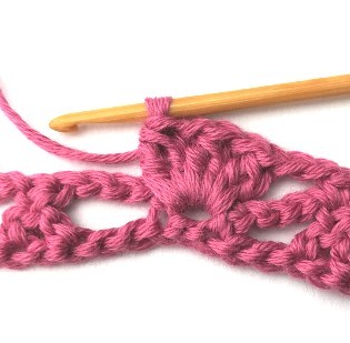 Flower and Triangle Crochet Stitch Photo Tutorial