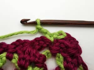 Rose Garden Crochet Stitch Photo Tutorial