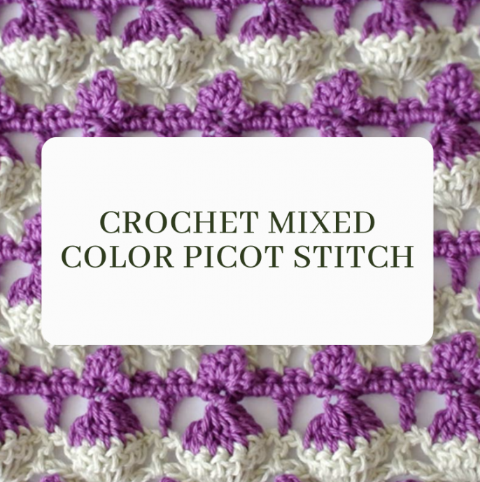 Crochet Mixed Color Picot Stitch