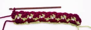 Rose Garden Crochet Stitch Photo Tutorial