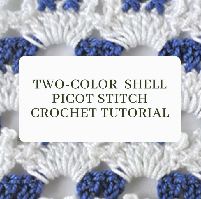 Two-color Shell Picot Stitch Crochet Tutorial