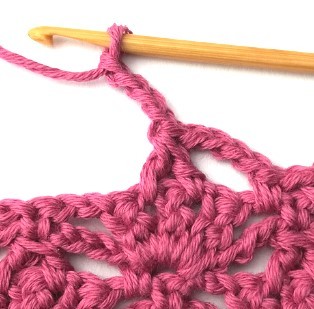 Flower and Triangle Crochet Stitch Photo Tutorial