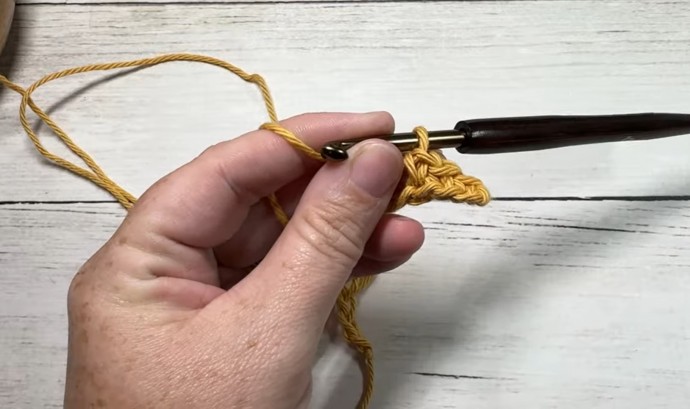 How to Crochet the Twin Stitch Photo Tutorial