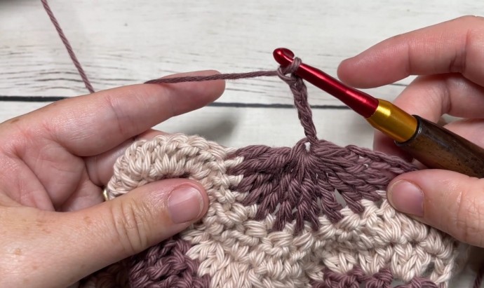 How to Crochet the Circle Stitch Photo Tutorial