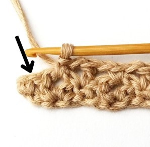 Blossom Crochet Stitch Photo Tutorial