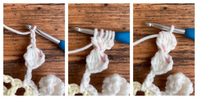 How to Crochet Pom Pom Border Photo Tutorial