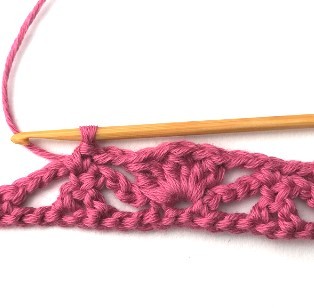 Flower and Triangle Crochet Stitch Photo Tutorial