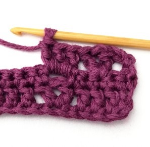 How to Crochet the Alternating V and Block Stitch Photo Tutorial