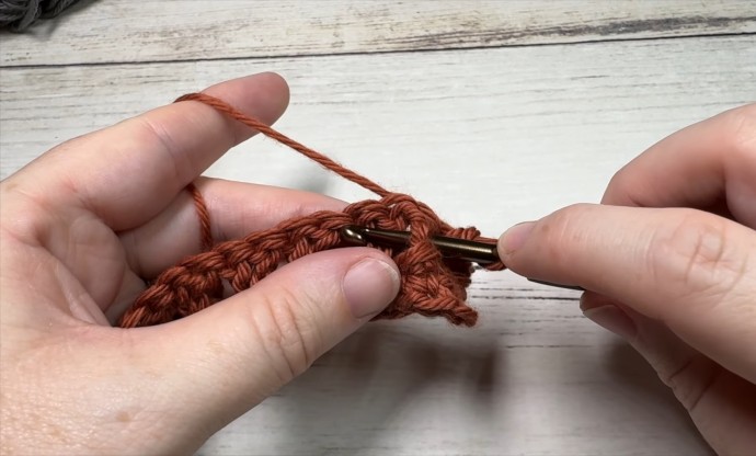 Crossed Double and Post Stitch Photo Tutorial