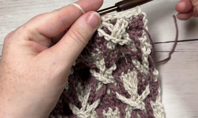 How to Crochet the Polish Star Stitch Photo Tutorial