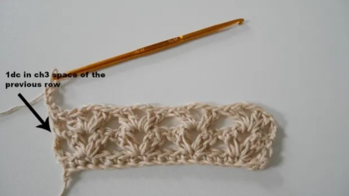 Fancy Lace Crochet Stitch Photo Tutorial