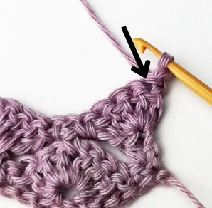 The Fantail Shell Crochet Stitch Photo Tutorial