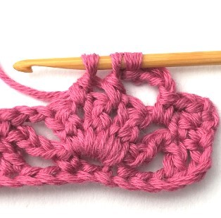 Flower and Triangle Crochet Stitch Photo Tutorial