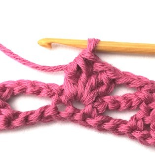 Flower and Triangle Crochet Stitch Photo Tutorial