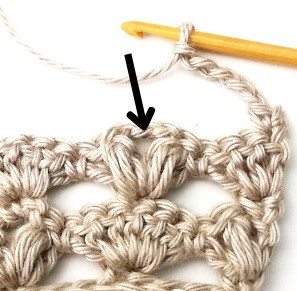 How to Crochet the Shell and Puff V Stitch Photo Tutorial