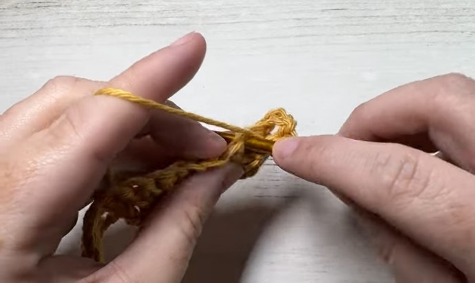 How to Crochet the Wheat Stitch Photo Tutorial