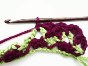 Rose Garden Crochet Stitch Photo Tutorial