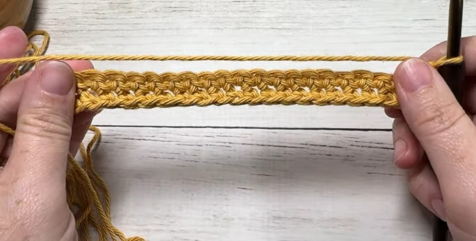 How to Crochet the Twin Stitch Photo Tutorial